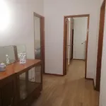 Casa de Férias River House